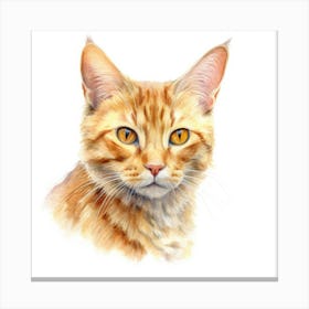 California Spangled Gold Cat Portrait 1 Canvas Print