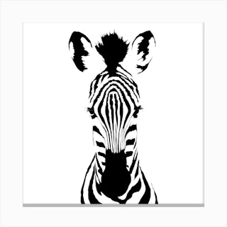 Zebra White Series Square Canvas Print