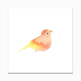 Blushing Bird Apricot Square Canvas Print