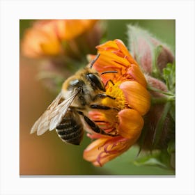 Bee On A Flower Canvas Print