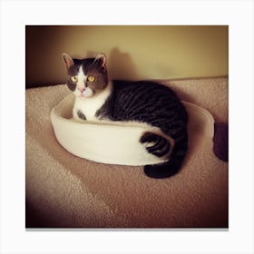 Cat In A Bowl Canvas Print