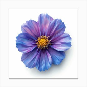 Cosmos Flower Canvas Print