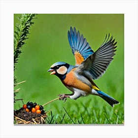 Bird In Flight 10 Canvas Print