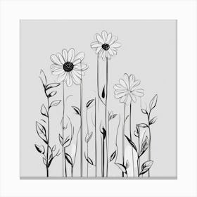 Daisies Canvas Print