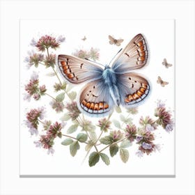 Butterfly of Thymelicus sylvestris 3 Canvas Print