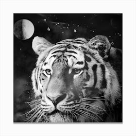 Tiger From The Univers Canvas Print