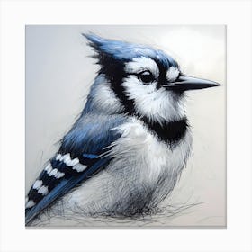 Bluejay ~Reimagined 24 Canvas Print