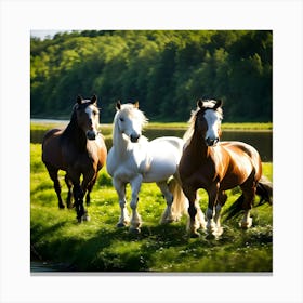 Horses Running In The Grass Canvas Print