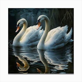 Swans Canvas Print