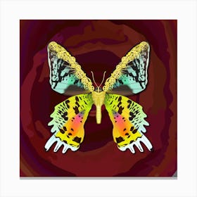 Mechanical Butterfly Urania Ryphaeus On A Dark Red Maroon Background Canvas Print