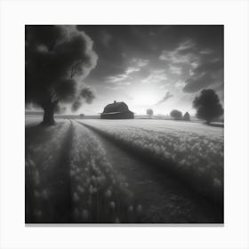 Black And White Photography 1 Canvas Print