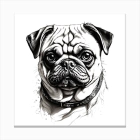 Pug Dog Canvas Print