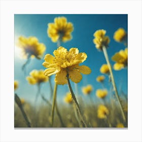 Yellow Flowers In A Field 29 Canvas Print