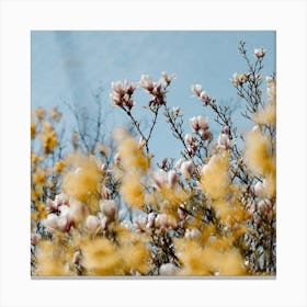 Pink And Yellow Spring Flowers  Colour Nature And Floral Photography Square Canvas Print