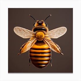 Bee Painting Canvas Print