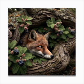 Fox In A Tree Canvas Print