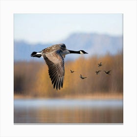 Canadian Goose Soaring Above A Lake With Leaves Occupying The Golden Hues Of Autumn Reflection Mirr Canvas Print