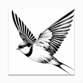 Swallow - Abstract Line Art Illustration 264 Canvas Print