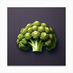 Broccoli On A Purple Background Canvas Print