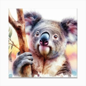 Koala Bear 1 Canvas Print