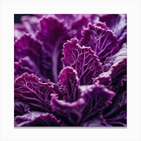 Purple Cabbage Close Up Canvas Print