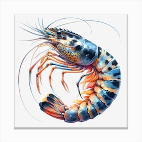 Prawn Canvas Print