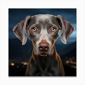 Weimaraner 2 Canvas Print