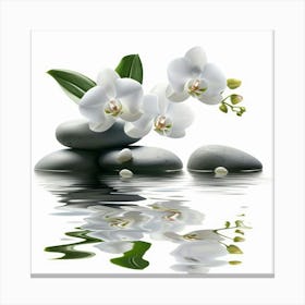 White Orchids 4 Canvas Print