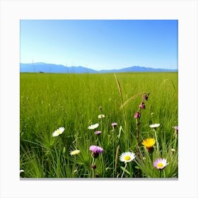 Wildflowers In A Field Canvas Print