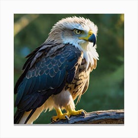 Eagle 1 Canvas Print