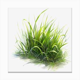 Watercolor-Spring-Grass-Clipart. Oliviaarts.18 Canvas Print