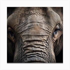 Elephant Stare Canvas Print