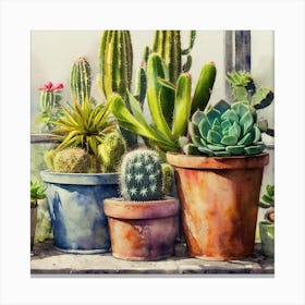 Cacti And Succulents 13 Canvas Print