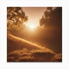 A Sun 1 Canvas Print