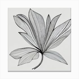 Black And White Leaf Canvas Print