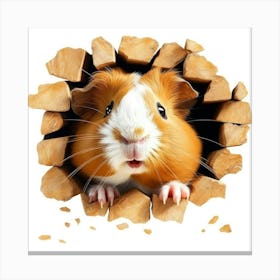 Guinea Pig 6 Canvas Print