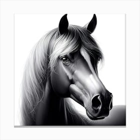 Creative Horse Beauty Illustration Nr 202 Canvas Print