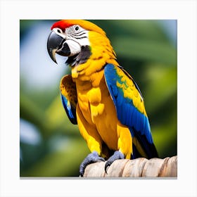 Colorful Parrot 9 Canvas Print