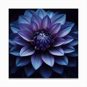 Purple Dahlia Flower Canvas Print