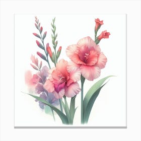 Gladioli 2 Canvas Print