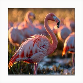 Pink Flamingos 2 Canvas Print