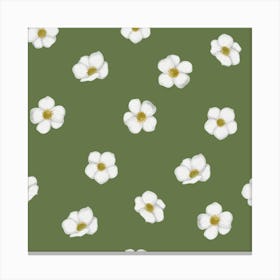 Dainty white flowers Canvas Print