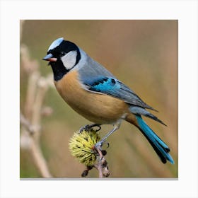 Tit on branch 63 Canvas Print