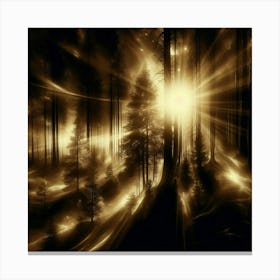 Golden Light In The Forest 1 Canvas Print