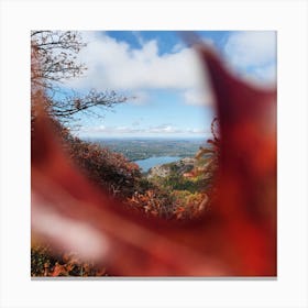 Autumn Leaves On A Mountain Canvas Print