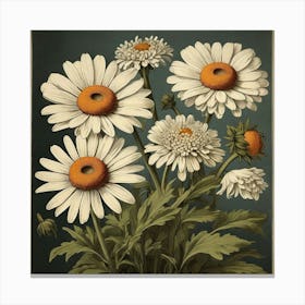 Oxeye Daisy Floral Botanical Vintage Poster Flower Art print 2 Canvas Print