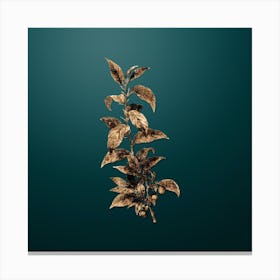 Gold Botanical Cherry on Dark Teal n.2183 Canvas Print