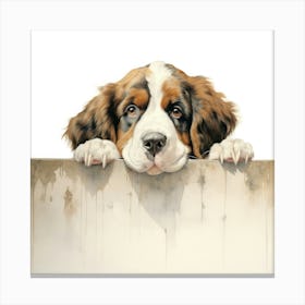 St Bernard Dog 5 Canvas Print