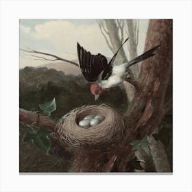 Bird In A Nest Canvas Print