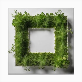 Moss Frame 2 Canvas Print